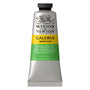 Winsor & Newton Galleria Acrylic Colour Permanent Green Light 60ml
