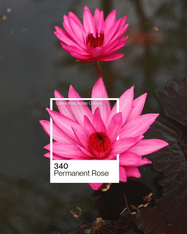 Camel Acrylic Colour Paint