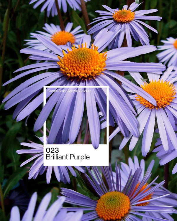 Camel Acrylic Colour Paint