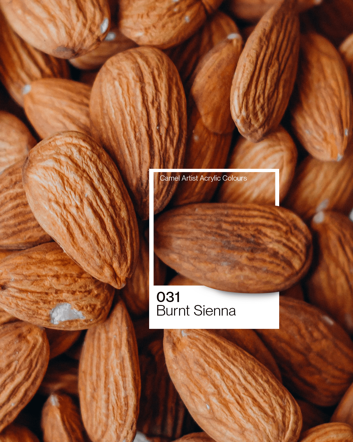 Camel Acrylic Colour Paint