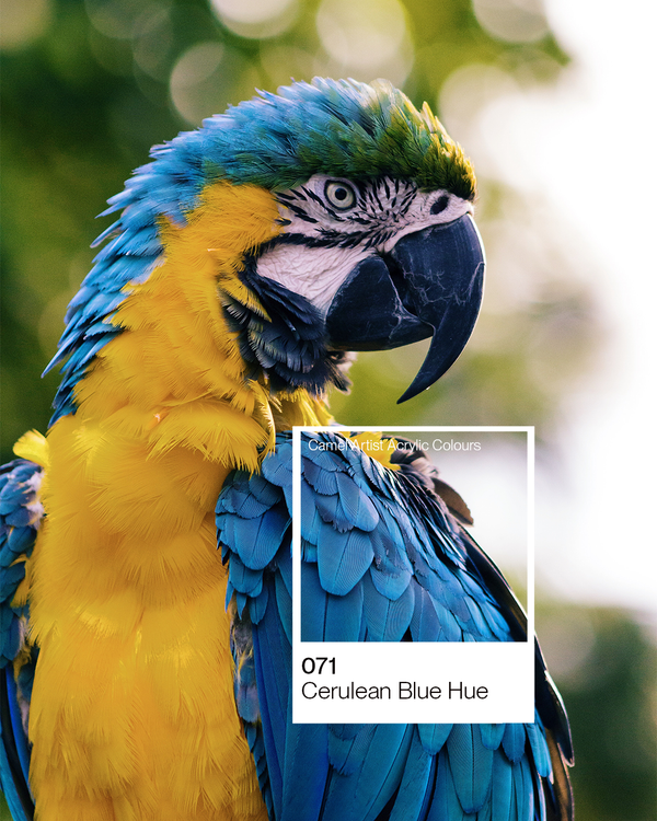 Camel Acrylic Colour Paint