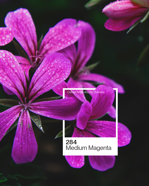 Camel Acrylic Colour Paint