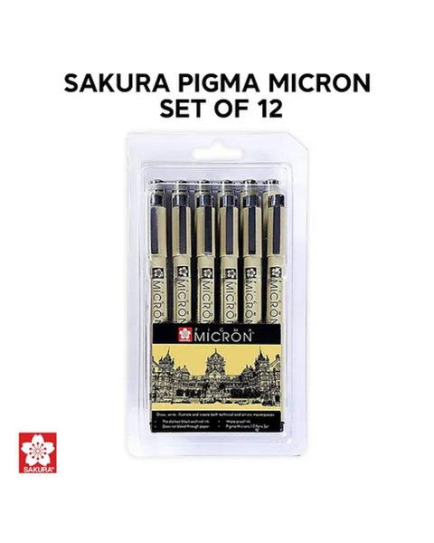 Sakura Pigma Micron Set of 12B