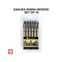 Sakura Pigma Micron Set of 12B