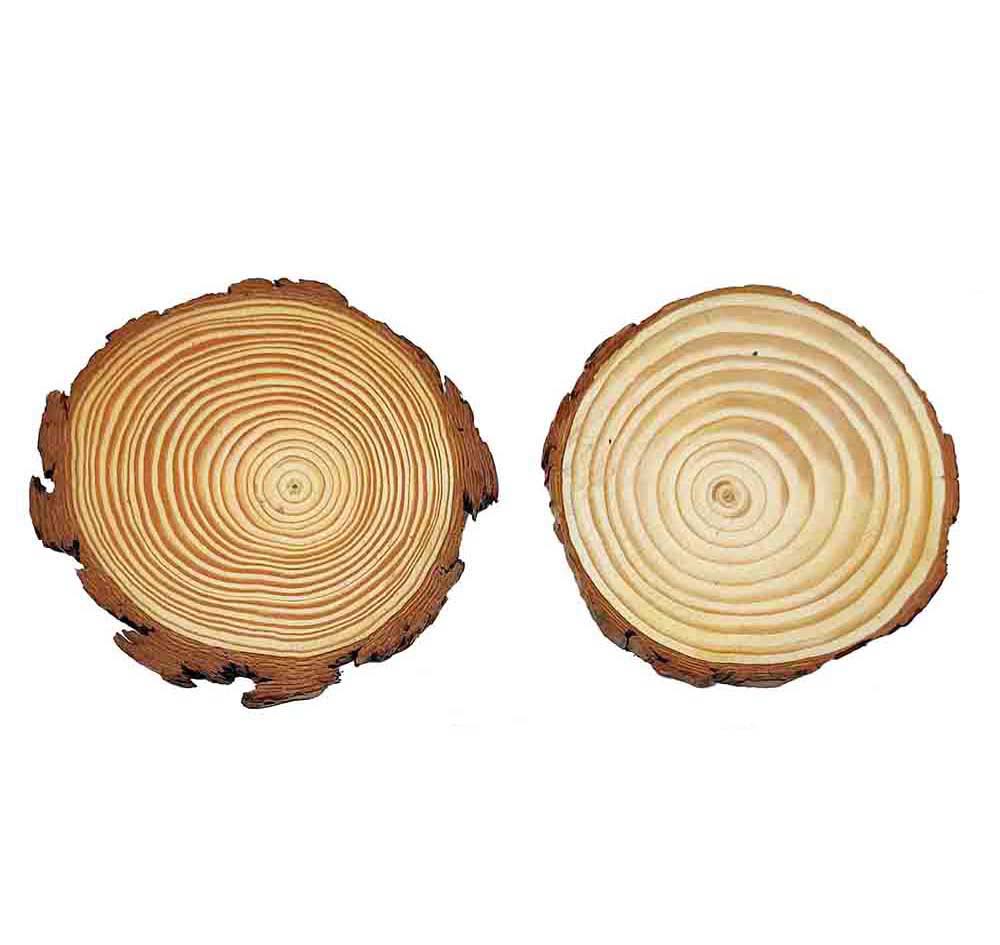 Wooden Slice Round 9-10X1cm