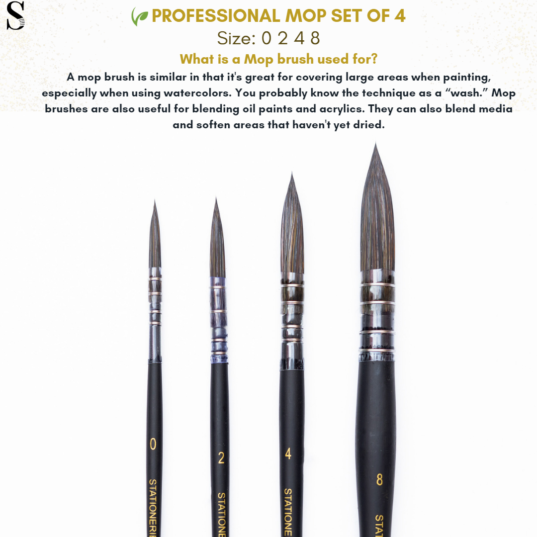 Sationarie 4 pc Mop Brush Set