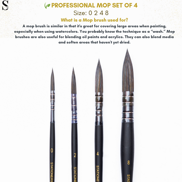 Sationarie 4 pc Mop Brush Set